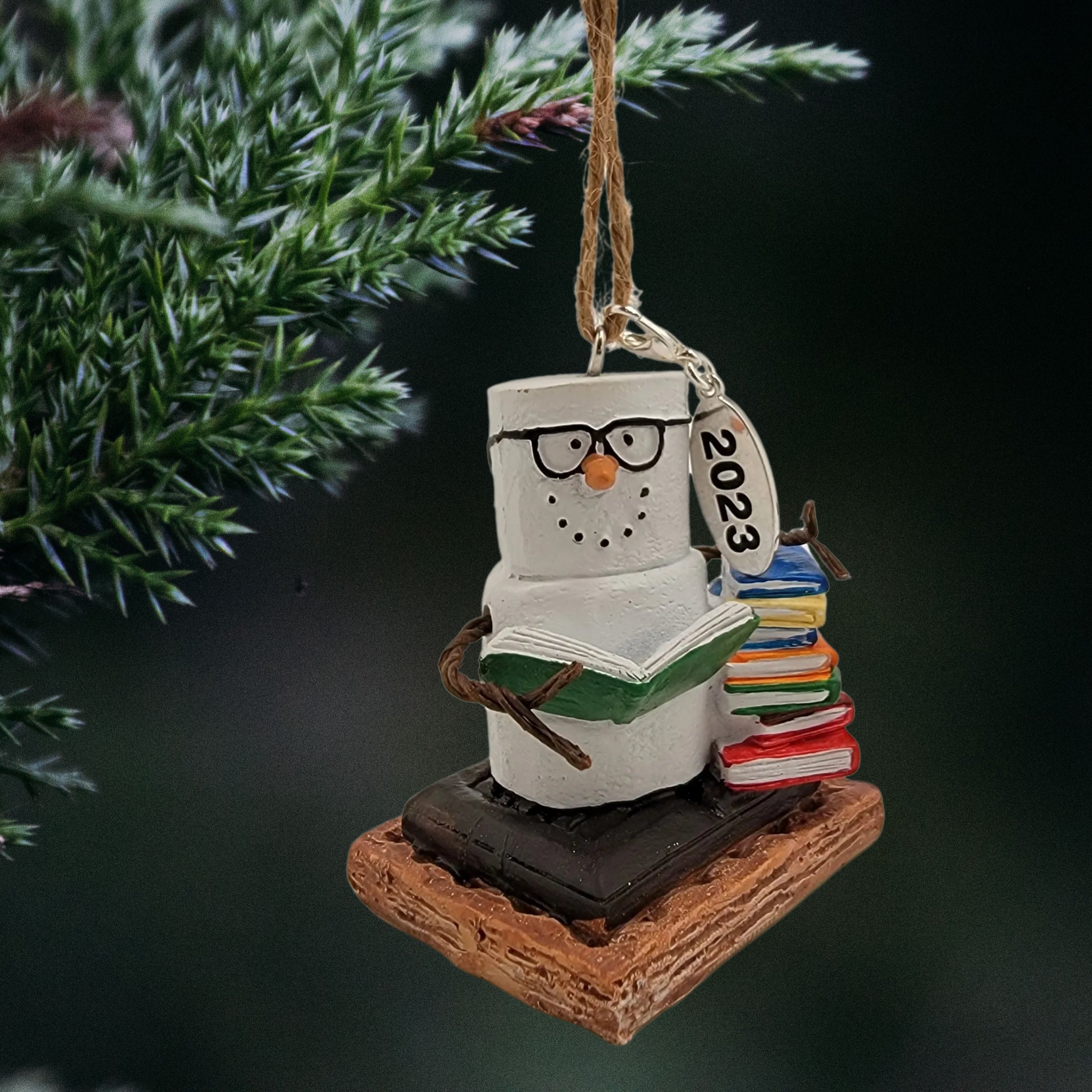 Smores Bookworm Stack of Books Ornament