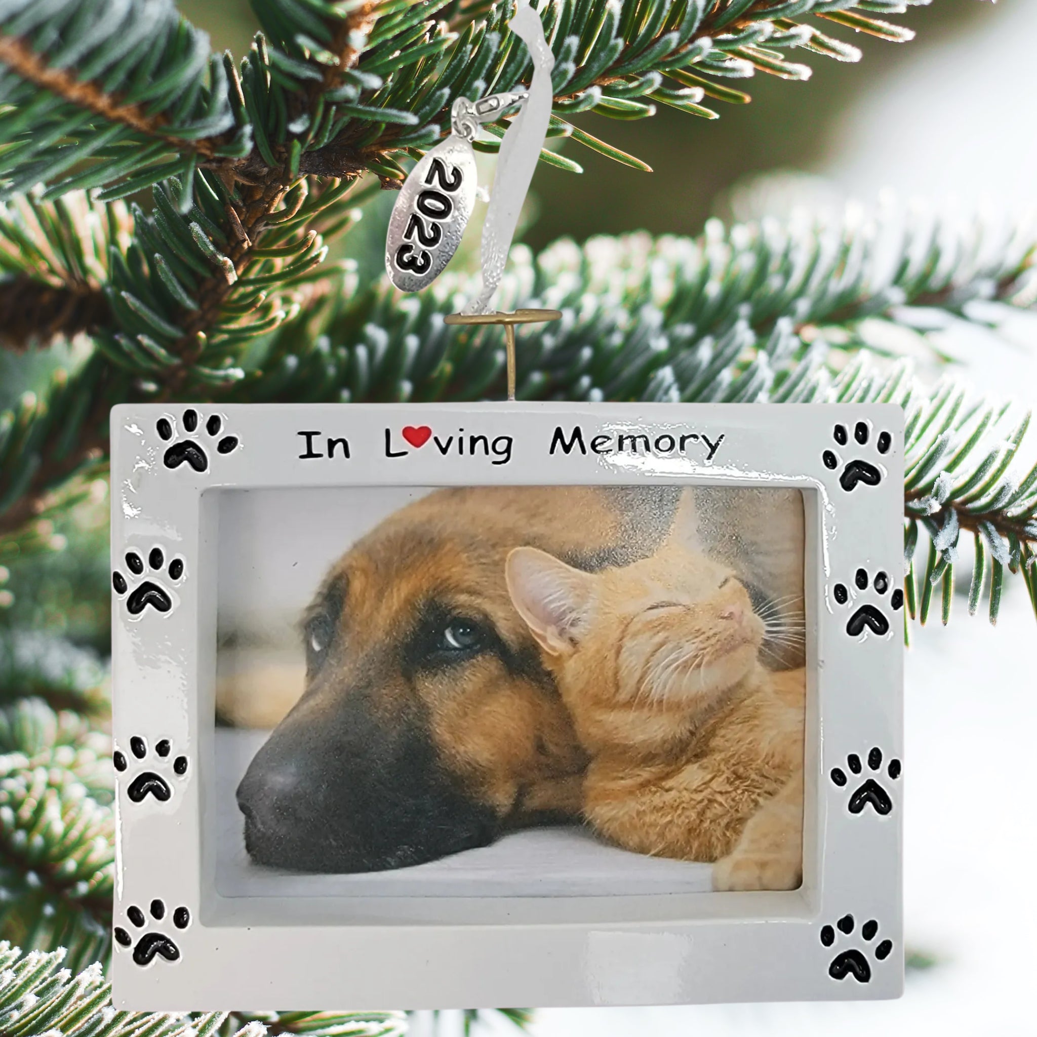 Pet Memorial Photo Frame Ornament - In Loving Memory