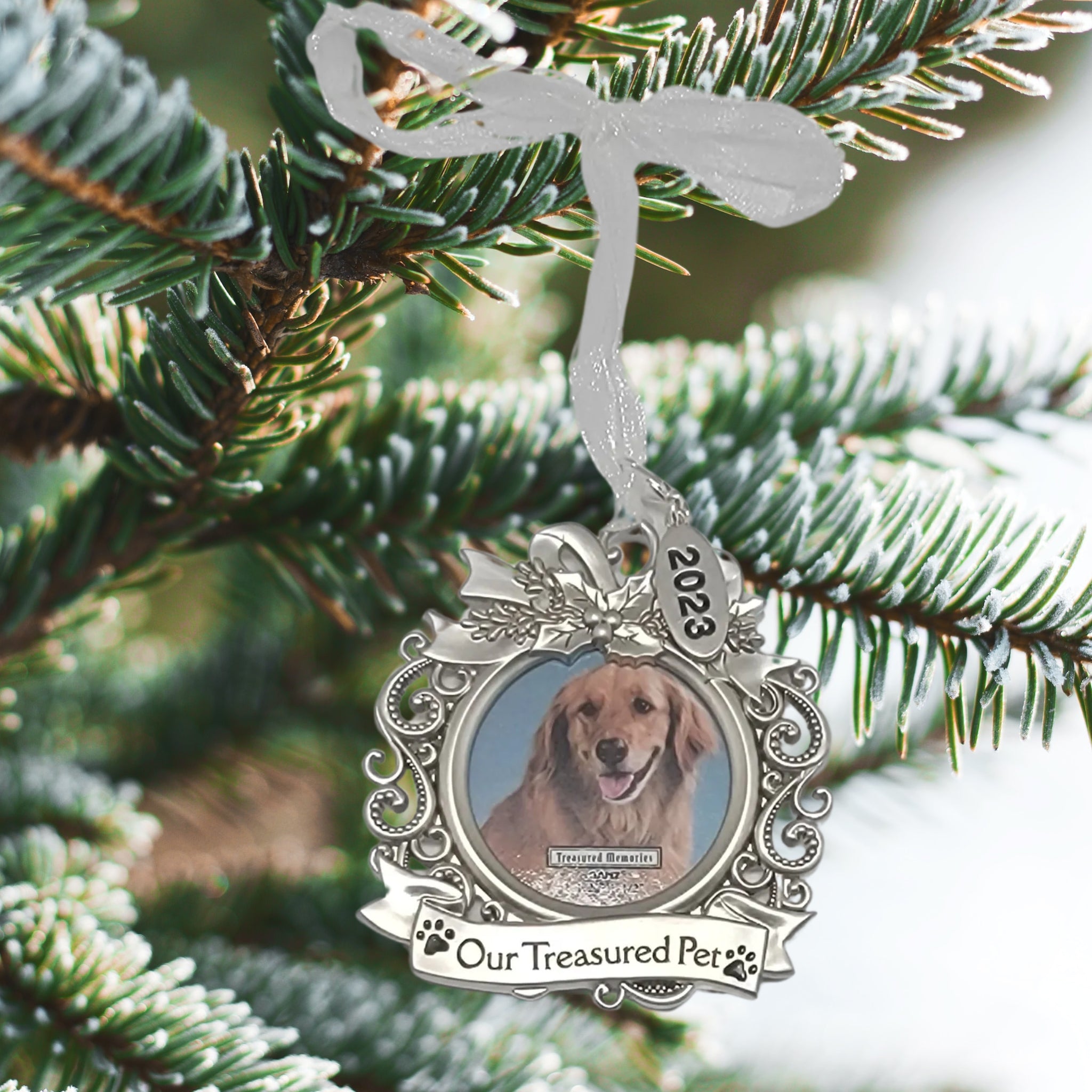 Pet Memorial Photo Frame Ornament - Our Treasured Pet